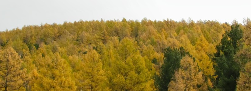 Сураггүй болсон таван хүнийг мэнд олжээ