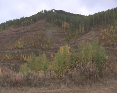 ”Гацуурт”-ын нинжа нэгийнхээ аминд хүрчээ