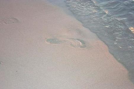 Машинаа гараашид тавихаар гараад сураггүй болжээ