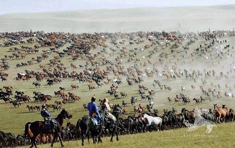 Засгийн шийдвэр ба Эмээлтэд бөөгнөрсөн 500 000 шир