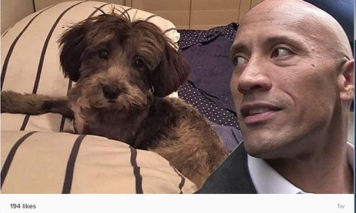 Двайн Жонсон фэндээ туслав