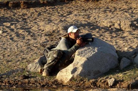 Хэргийг мөрдөх хэсэг Өмнөговь, Хөвсгөлд ажиллаж байна