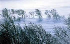 Алга болсон иргэн осголтын байдалтай олджээ