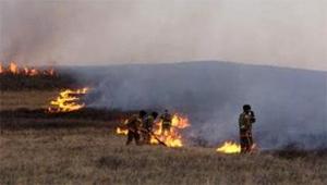 Хилийн дагуу гарсан түймрийг цурамд орууллаа