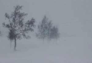12 иргэнийг эрэн хайх ажиллагаа үргэлжилж байна