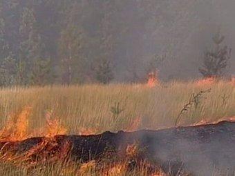 Түймрийн хэргээр долоон хүнд ял оноожээ