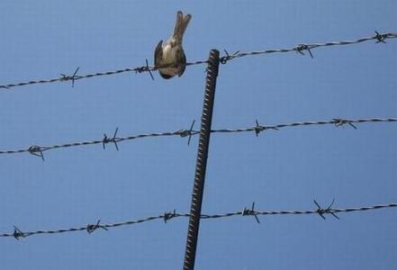 Чехэд ял эдэлж буй иргэдээ эргэжээ