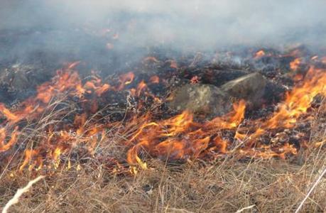 Түймэрт хоёр хүн түлэгджээ