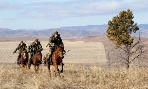 Мал хулгайлах зорилгоор хил давжээ