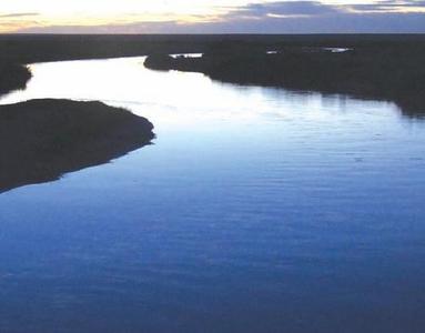 Сэтгэцийн өвчтэй иргэн сураггүй болжээ