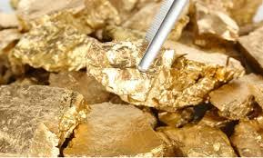 Алтны компаниудыг дэмжинэ