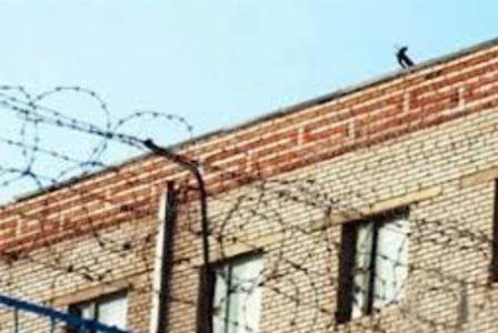 Иргэнийг зодсон цагдааг цагдан хорьжээ