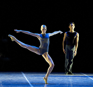 “Хар хун” Монголд дахин ирнэ