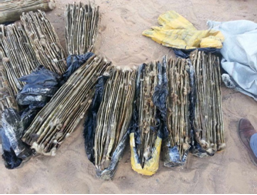 Арслан зааны соёо хилээр гаргахыг завджээ