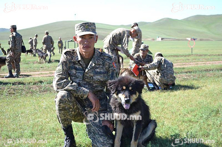 Сургуультай ноход хилийн манаанд гарахад бэлэн болжээ