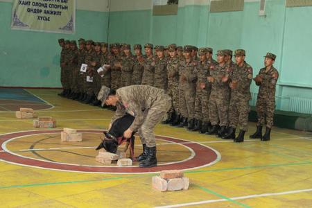 Албаны нохой сургагчдыг бэлджээ