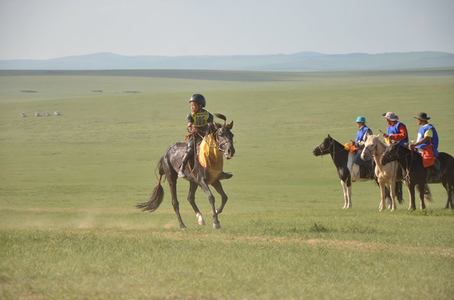 Эрлийз дээд насыг Б.Батбаатарын хар морь өнгөлөв