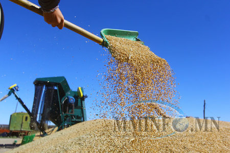 Бүсээ чангалж, хүнсээ хэмнэх цаг ирлээ 