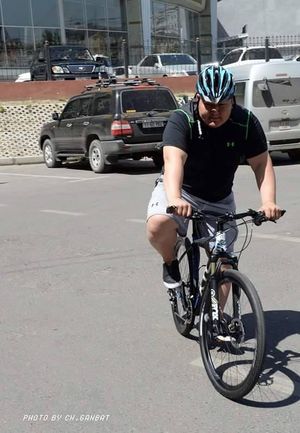 Асашёрюү нэрийн брэндтэй болжээ