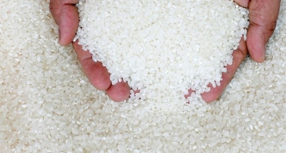 Энэтхэг Улсаас цагаан будаа, элсэн чихэр нийлүүлэх талаар ярилцжээ