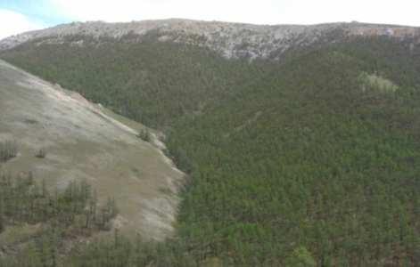 Цагаан даваанд осол гарчээ