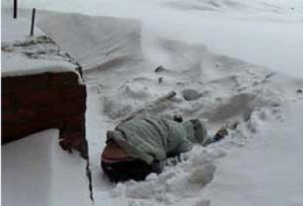 Сүүлийн нэг сарын хугацаанд 29 иргэн осгож нас баржээ