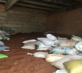 Хууль бусаар их хэмжээний самар бэлтгэжээ