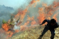 Нөмрөгийн дархан цаазат газрын 211 мянган га талбай түймэрт өртжээ