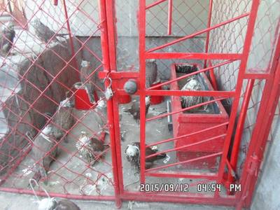 Хууль бусаар шонхор барьжээ