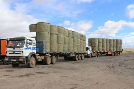 Өвс,  тэжээл, хивэгний экспортыг түр хугацаанд хязгаарлалаа