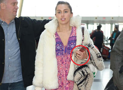 Лиам, Майли нар сүй тавьжээ