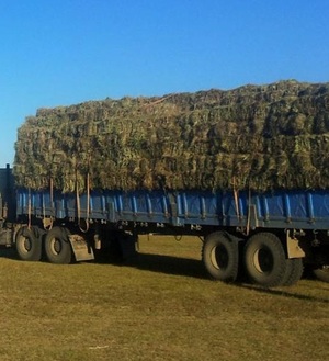 Галын улмаас 435 боодол өвс шатжээ
