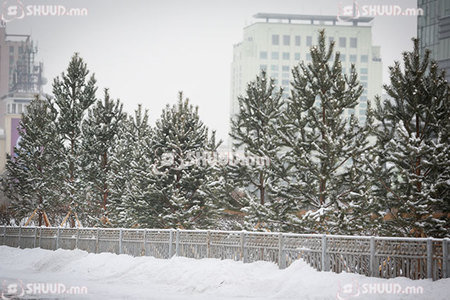 Улаанбаатарт 10 хэм хүйтэн, цас орохгүй