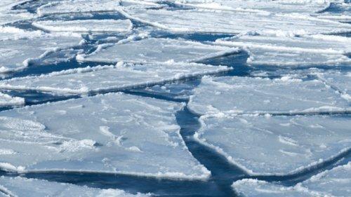 Мөс цөмөрч 58 бог мал хорогджээ