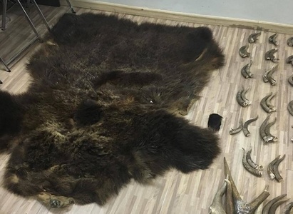 УБТЗ-ын ажилтнууд бусадтай бүлэглэн хууль зөрчжээ