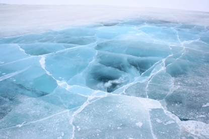 Нууранд живсэн машиныг гаргажээ