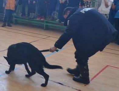 Эрэлч нохой хулгайчийг илрүүлжээ