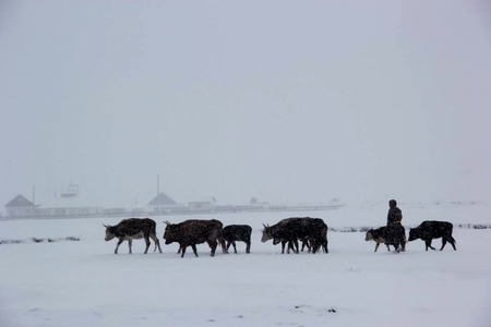 Хамгийн хүйтэн гуравдугаар сар 1985 онд тохиож байжээ