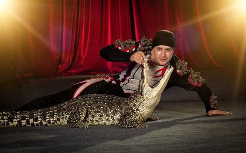 Дэлхийн цирк Монголд ирнэ