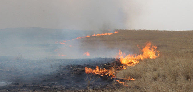  Зургаан аймаг хээрийн түймэртэй байна