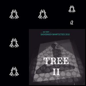 “Мод”-ыг маргааш нээнэ