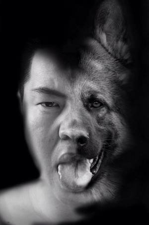 Нийгмийг “Нохойн сүрэг”-ээр шүүмжилнэ