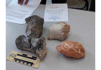 Хилээр чулуужсан яс гаргах гэж байсныг илрүүлжээ