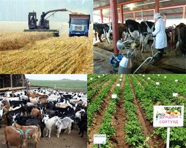 Азийн хөгжлийн банк ХАА-д хөрөнгө оруулалт хийнэ