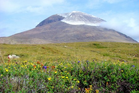 Өнөөдөр Отгонтэнгэр хайрхан уулын тахилга болж байна