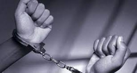 Хятадын 11 иргэн Монголд ял эдэлж байна