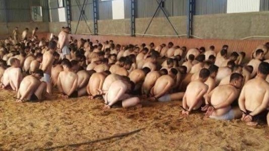 8000 гаруй төрийн албан хаагч халагджээ