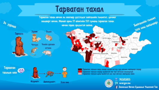 Тахлын вакцинжуулалт 10 хоног үргэлжилнэ