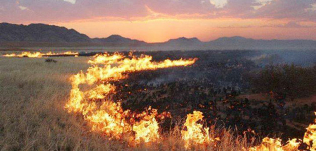 Хэнтий аймагт хээрийн түймэр гарч, 24 га талбай шатжээ