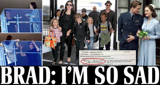 Брэд, Жоли нар саллаа